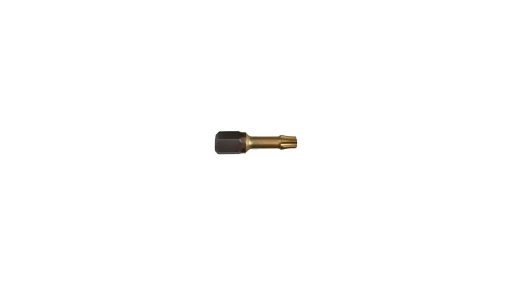 Ihned K Objednání Fischer Titanový bit Torx FTB TIN TX 10 x25 mm, 10 ks 557361