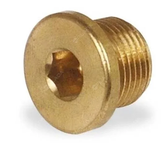 Objednat Nyní Záslepka AG 1/2''